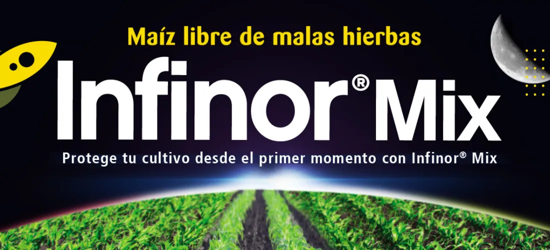 Infinor Mix ofrece un control óptimo contra las malas hierbas en maíz