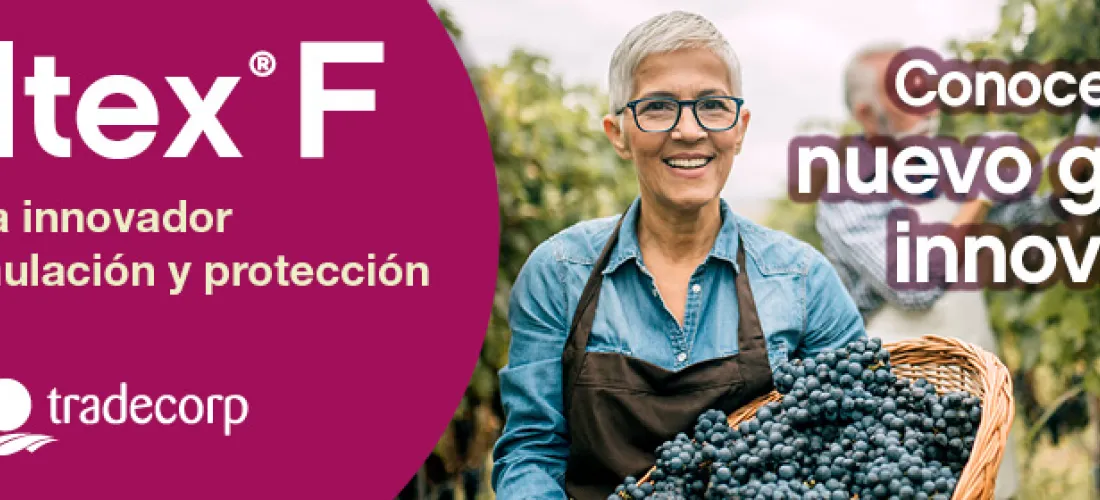 Conoce el nuevo giro en innovación con Boltex® F