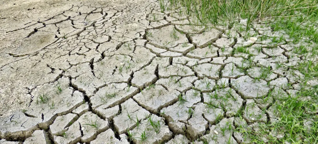 Los expertos coinciden en la necesidad de que la agricultura se adapte a una nueva climatología más adversa