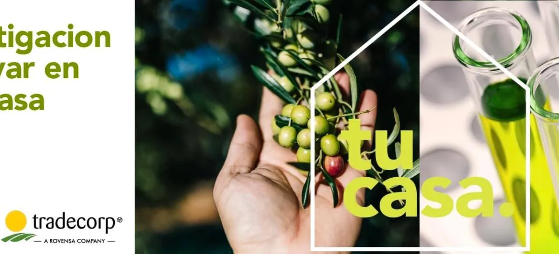 Concluye con éxito el nuevo curso online de fitopatología del olivar de Tradecorp
