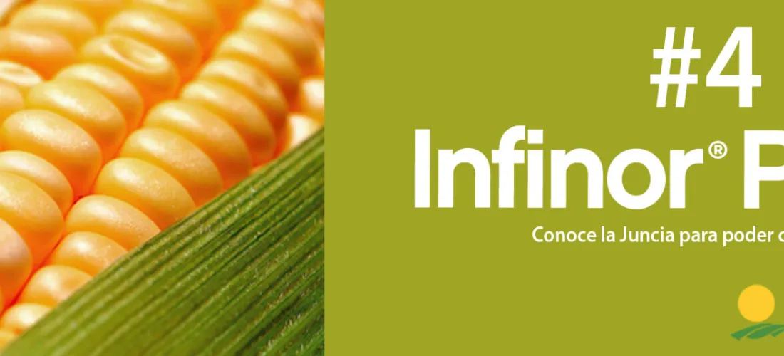 #InfinorPills4: Conoce la Juncia para poder combatirla mejor