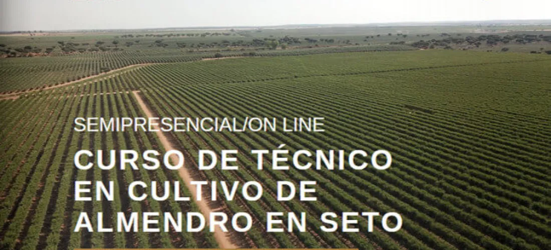 Synergynuts abre el plazo de preinscripción para el curso de técnico en cultivo de almendro en seto