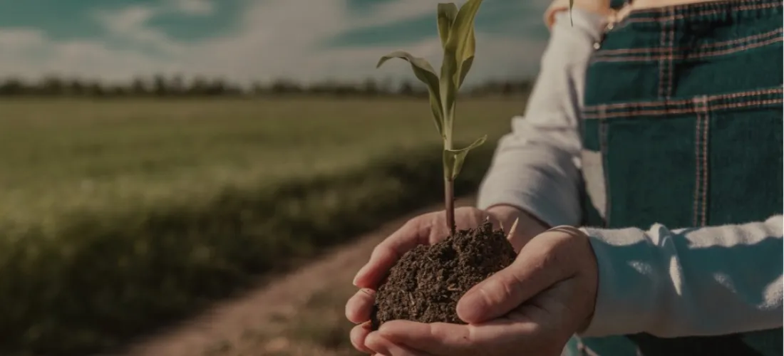 Soluciones para crecer en un mundo mejor