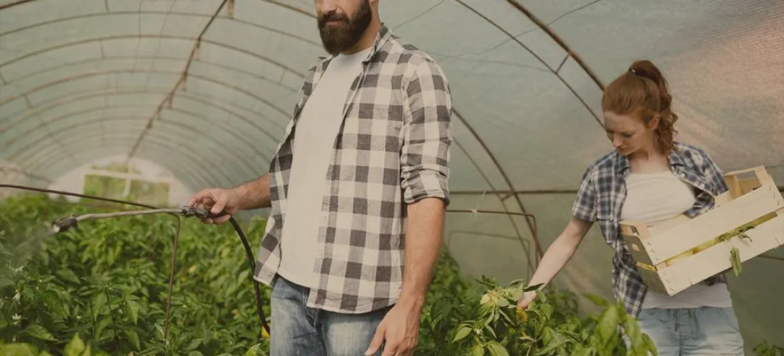 Producción sostenible: Producir mas con menos