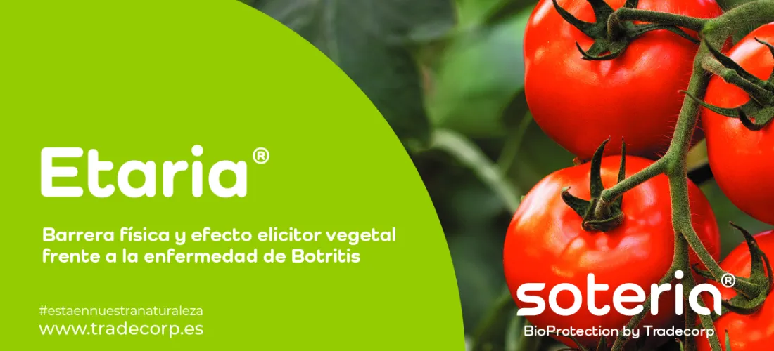 Etaria® nuestro protector natural, eficaz en hortícolas contra botritis