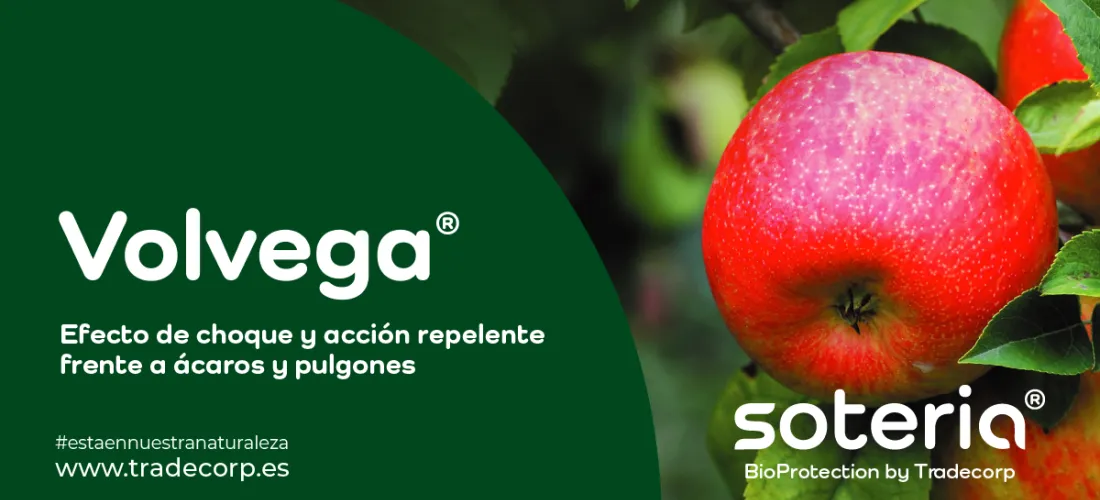 Volvega®, efecto de choque natural contra pulgones y ácaros