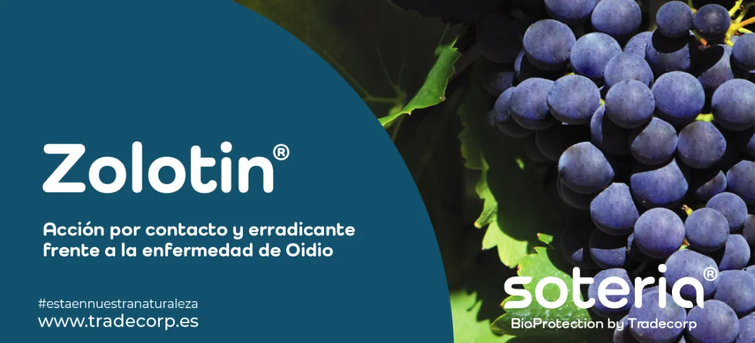 Zolotin®, nuevo erradicador biológico del oídio de la viña dentro de la gama Soteria®