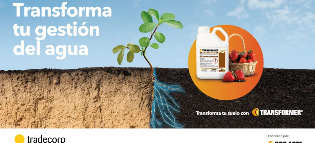 Transformer en cultivo de fresa: más y mejores cosechas