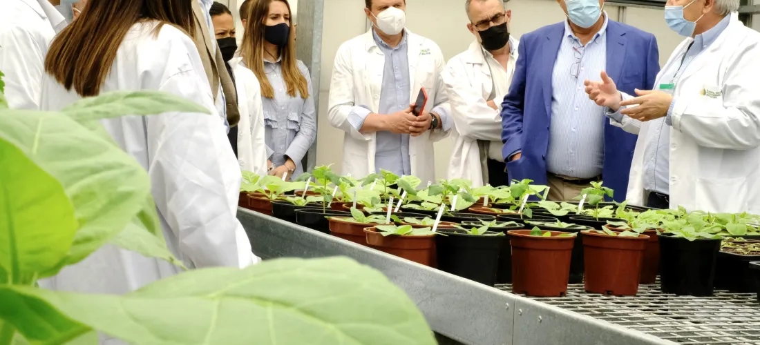 El futuro de la agricultura sostenible: soluciones de base biológica que preservan el medioambiente