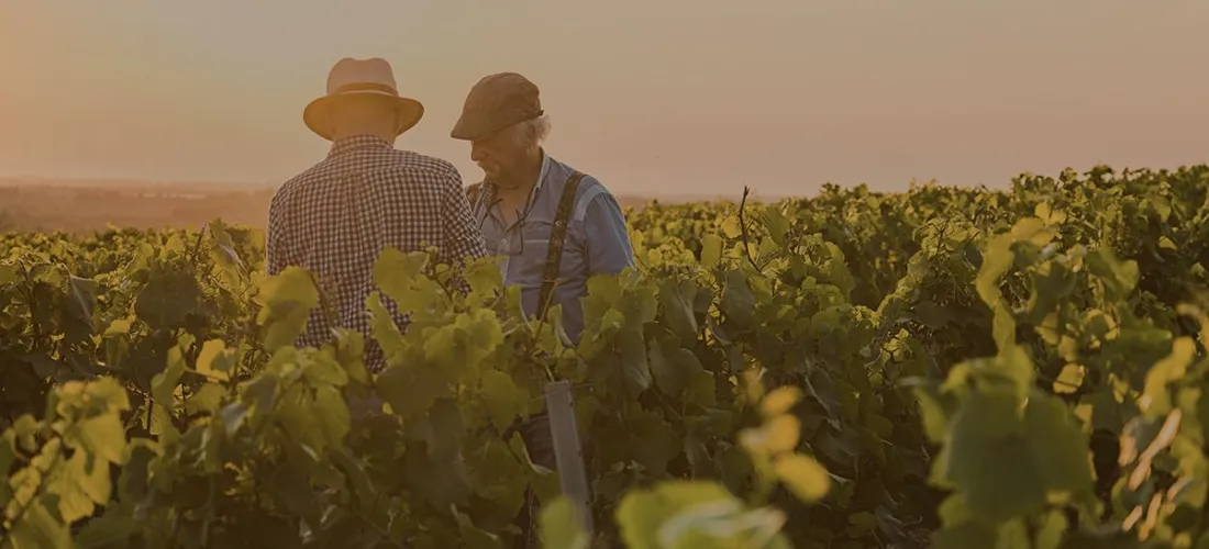 Beneficios de la agricultura tradicional combinada con nuestras soluciones