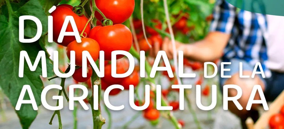 Hoy celebramos el Día Mundial de la Agricultura