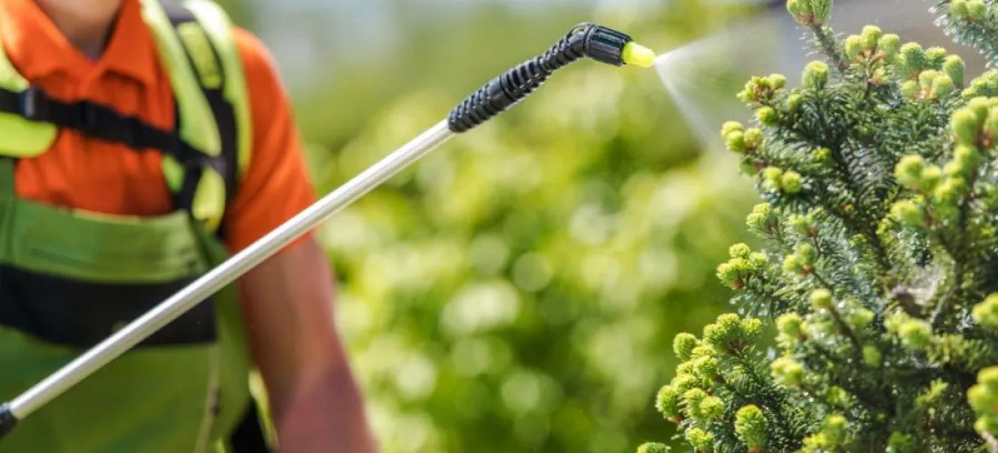 Top 5 insecticidas para plantas de Tradecorp