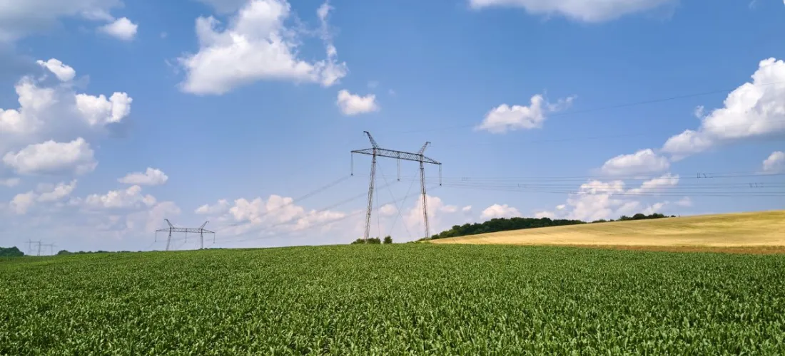 Eficiencia energética en la agricultura: ¿es posible?