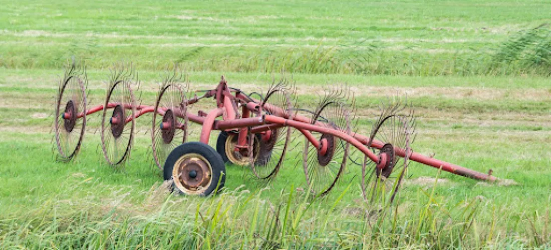 Tipos de agricultura tradicional