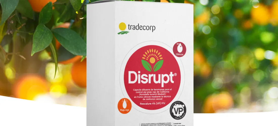 Conoce los beneficios de Disrupt