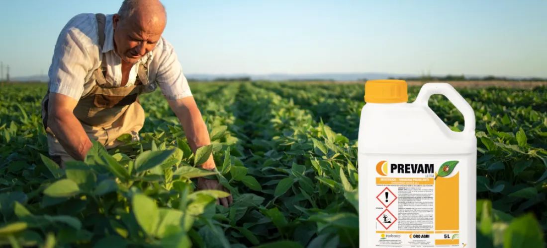 Herbicida ecológico: innovación para cultivos