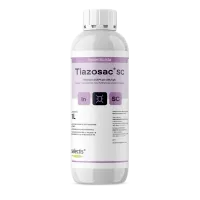 mockup_tiazosacsc