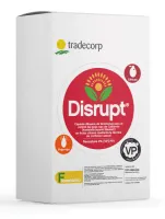 Disrupt