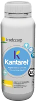 Kantarel