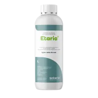 Etaria