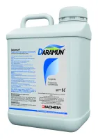Daramun
