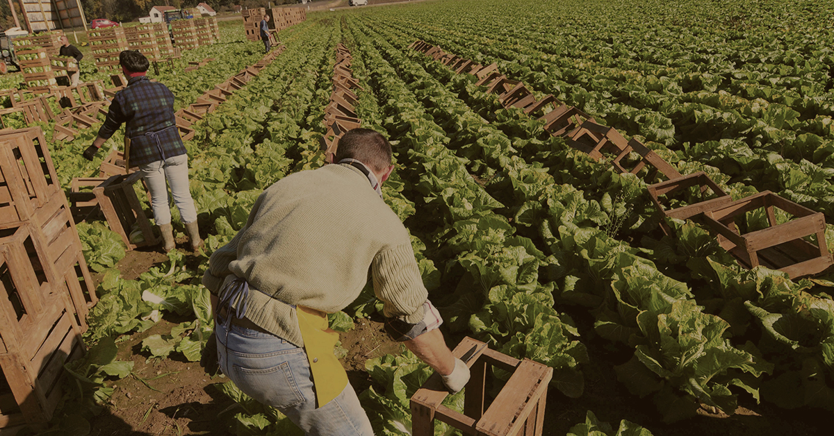 Soluciones para crecer y hacer la agricultura rentable