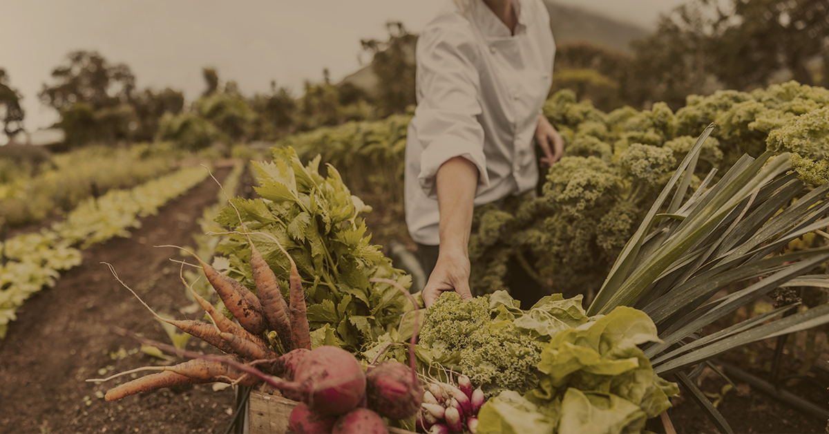 Guía hacia un trabajo en el campo más sostenible